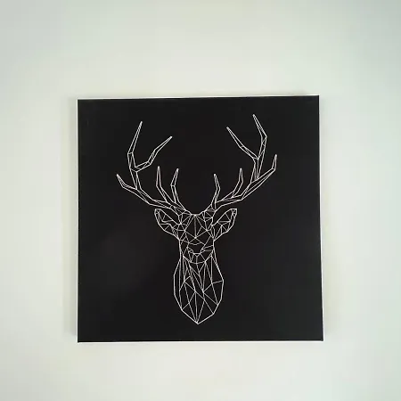 W Samym Centrum Jeleniej Gory Jelenia Góra