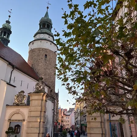 W Samym Centrum Jeleniej Gory Апартаменты