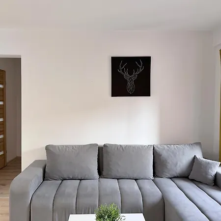 W Samym Centrum Jeleniej Gory Jelenia Góra