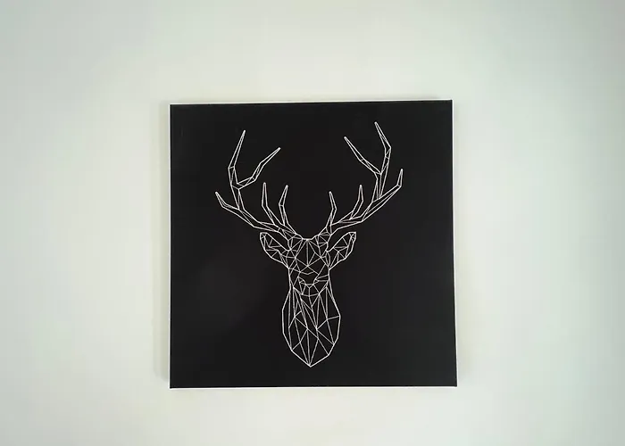 W Samym Centrum Jeleniej Gory Jelenia Góra