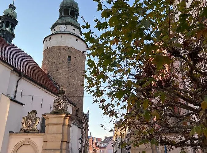 W Samym Centrum Jeleniej Gory 公寓