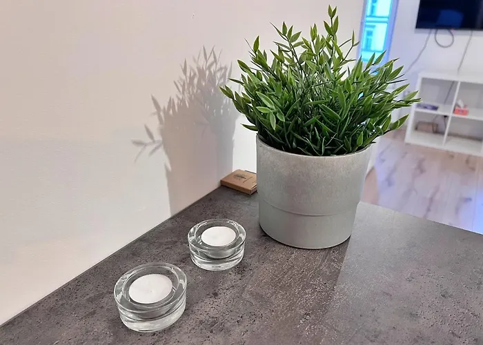 公寓 W Samym Centrum Jeleniej Gory 耶莱尼亚古拉