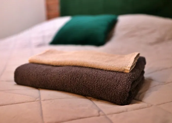 W Samym Centrum Jeleniej Gory 公寓 耶莱尼亚古拉