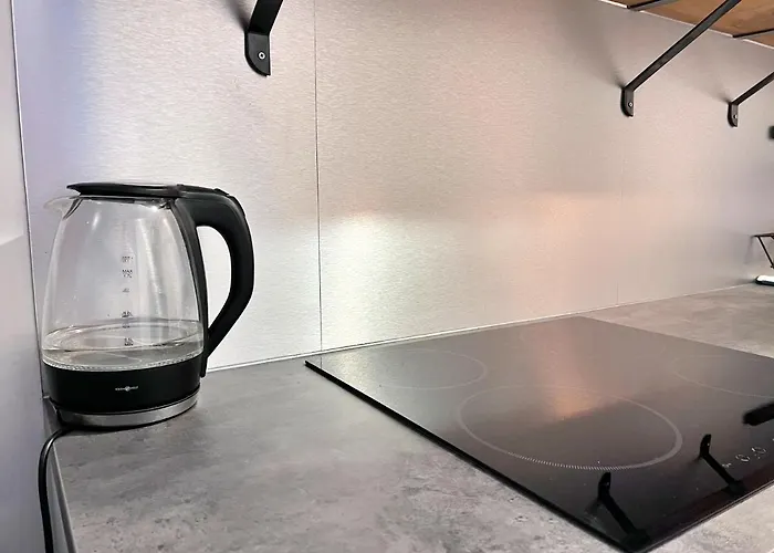 W Samym Centrum Jeleniej Gory 公寓 耶莱尼亚古拉